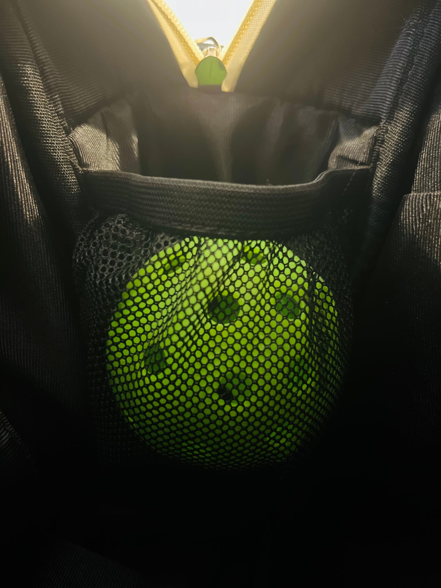 Luv It Pickleball Bag